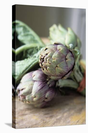 Globe Artichokes-Veronique Leplat-Premier Image Canvas