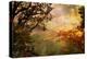 Gloomy Sunset - Artwork In Oil Painting Style-Maugli-l-Stretched Canvas