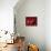Glossy Red Cherries-Steve Lupton-Premier Image Canvas displayed on a wall