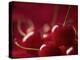 Glossy Red Cherries-Steve Lupton-Premier Image Canvas