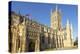 Gloucester Cathedral, city centre, Gloucester, Gloucestershire, England-Neale Clark-Premier Image Canvas