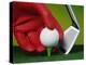 Gloved Hand Placing Golf Ball on Tee-null-Premier Image Canvas