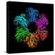 Glutamine Synthetase Enzyme-Laguna Design-Premier Image Canvas