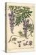 Glycine Botanical Study, 1897 (Lithograph)-Eugene Grasset-Premier Image Canvas