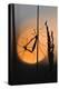 Gnats, Stalk, Mating, Silhouette, Sunrise-Harald Kroiss-Premier Image Canvas