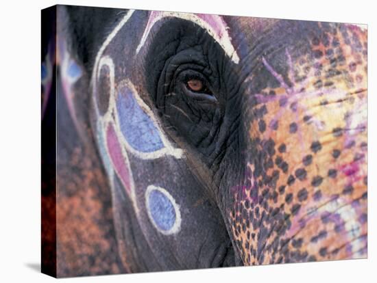 Goa, India, Close-up of Elephants Eye-Peter Adams-Premier Image Canvas