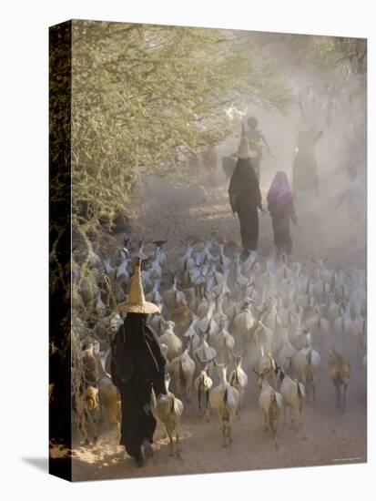 Goat Herder, Al Wadi Dawan, Nr Wadi Hadhramawt, Yemen-Peter Adams-Premier Image Canvas