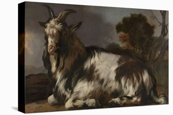 Goat Lying Down-Jan Baptist Weenix-Stretched Canvas