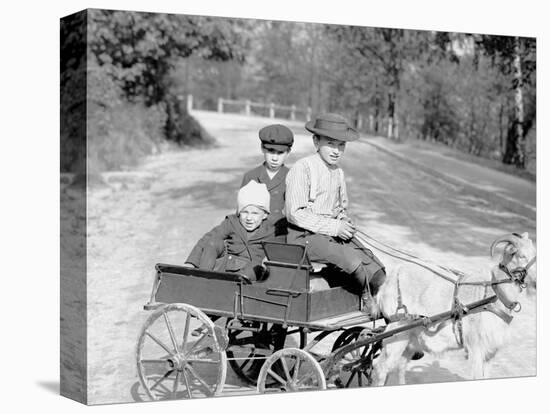 Goat Wagon in Eden Park, Cincinnati, Ohio-null-Stretched Canvas