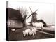 Goats, Laandam, Netherlands, 1898-James Batkin-Premier Image Canvas