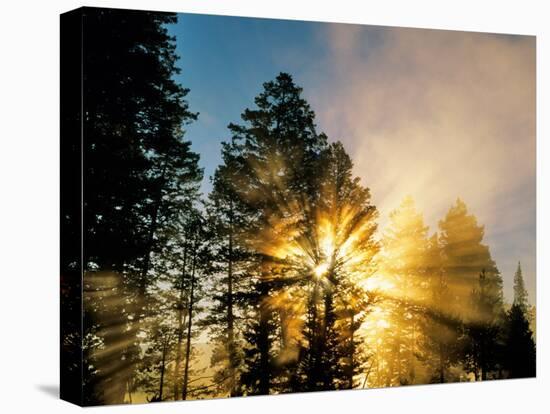 God Rays from Morning Fog Along the Madison River, Yellowstone National Park, Wyoming, USA-Chuck Haney-Premier Image Canvas