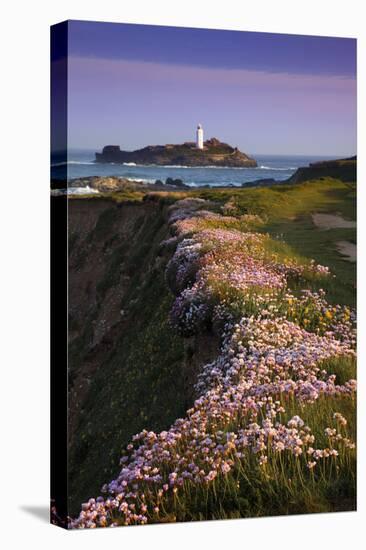 Godrevy Thrift in Flower-null-Premier Image Canvas