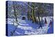 Going sledging,Calke Abbey, 2021 (oil on canvas)-Andrew Macara-Premier Image Canvas