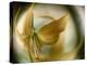 Gold Angel-Ursula Abresch-Premier Image Canvas