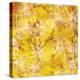 Gold Background with White Floral-Bee Sturgis-Stretched Canvas