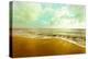 Gold Beach-Susan Bryant-Premier Image Canvas