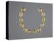 Gold Beads in the Shape of Cowrie Shells-null-Premier Image Canvas