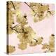 Gold Blossoms on Pink III-Kate Bennett-Stretched Canvas