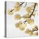 Gold Blossoms on White II-Kate Bennett-Stretched Canvas