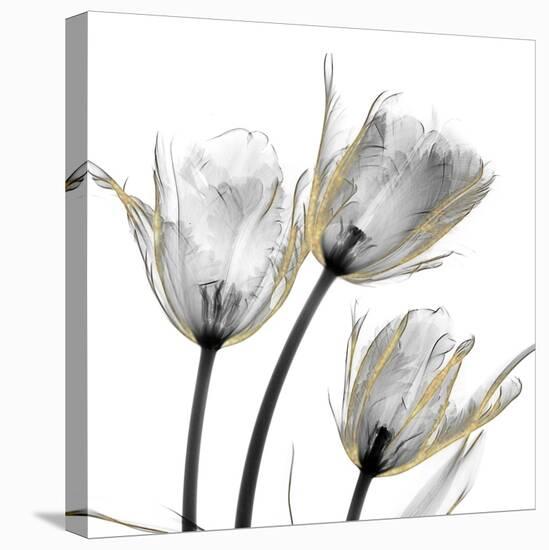 Gold Embellished Tulips 2-Albert Koetsier-Premier Image Canvas