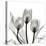 Gold Embellished Tulips 5-Albert Koetsier-Premier Image Canvas