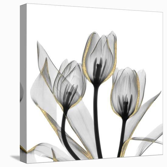 Gold Embellished Tulips 5-Albert Koetsier-Premier Image Canvas