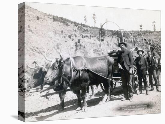 Gold Fever in South Dakota, 1889-John C. H. Grabill-Premier Image Canvas