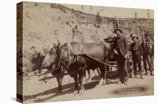 Gold Fever. Prospectors Going to the New Gold Field-John C.H. Grabill-Stretched Canvas