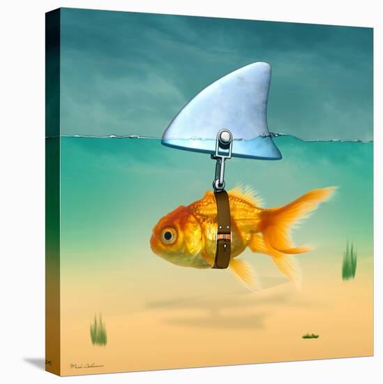 Gold Fish-Mark Ashkenazi-Premier Image Canvas