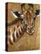 Gold Giraffe-Patricia Pinto-Stretched Canvas