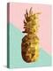 Gold Pineapple with Retro Shapes-cienpies-Stretched Canvas