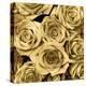 Gold Roses-Kate Bennett-Stretched Canvas