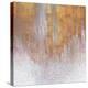 Gold Summer Woods Square-Roberto Gonzalez-Stretched Canvas
