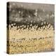 Gold Winds Square II-Lanie Loreth-Stretched Canvas