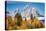 Golden aspen trees and Cathedral Group, Grand Teton National Park.-Adam Jones-Premier Image Canvas