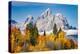 Golden aspen trees and Cathedral Group, Grand Teton National Park.-Adam Jones-Premier Image Canvas