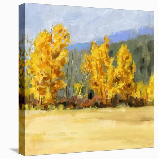 Golden Aspen Trees II-Victoria Borges-Stretched Canvas