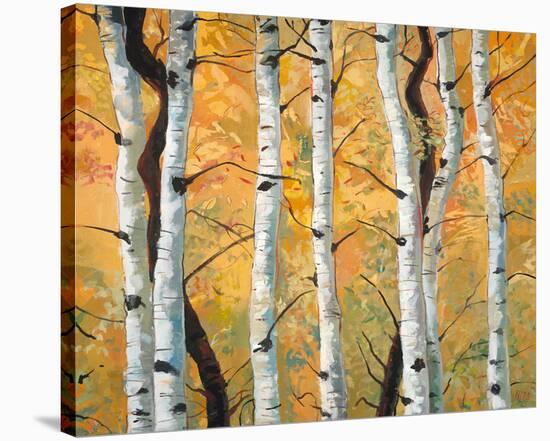 Golden Aspens-Miro Kenarov-Stretched Canvas