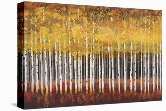 Golden Aspens-Holman-Stretched Canvas