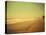 Golden Beach Landscape-Jan Lakey-Premier Image Canvas