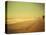 Golden Beach Landscape-Jan Lakey-Premier Image Canvas