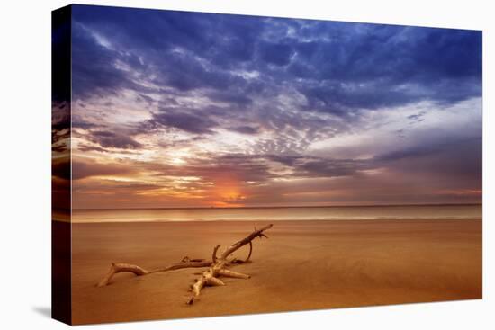 Golden Beach-Aaron Matheson-Premier Image Canvas
