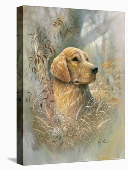 Golden Beauty-Ruane Manning-Stretched Canvas
