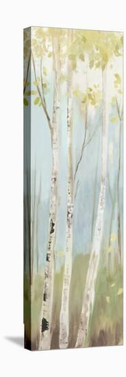 Golden Birch I-Allison Pearce-Stretched Canvas