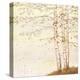 Golden Birch II Off White-James Wiens-Stretched Canvas