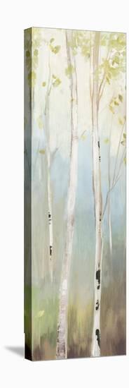 Golden Birch II-Allison Pearce-Stretched Canvas