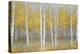 Golden Birch Panel-Jill Schultz McGannon-Stretched Canvas