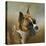 Golden Brindle Boxer-Jai Johnson-Premier Image Canvas