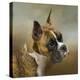 Golden Brindle Boxer-Jai Johnson-Premier Image Canvas