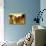 Golden Buildings-Philippe Hugonnard-Premier Image Canvas displayed on a wall